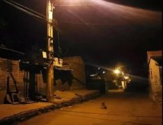 記憶中的老街巷口，有沒有一條等你回家的狗？